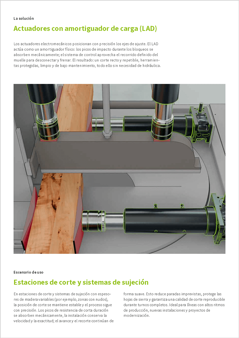 Estudio de caso | Industria maderera