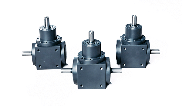 Historia - ZIMM | 2026